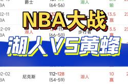 关于黄蜂主场大胜魔术，普拉姆利+带领全队赢球的信息